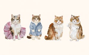 Gatos adoráveis vestidos de Josie George