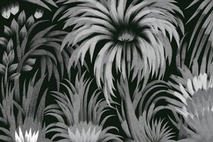 Selva tropical exuberante de Josie George