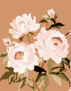 Peónias rosa claro de Josie George