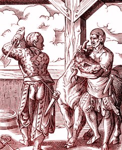 Um talhante - Comida e cozinha na Idade Média. Gravura de Jost Amman (1539-1591). Gravura de 1878 de Jost (after) Amman