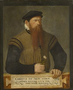 Retrato de um homem barbudo, 1565 de Jost Amman