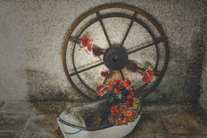 Flores para os marinheiros, da série Chapelle du Canal, 2016 (fotografia) de Joy Lions