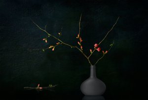 Ramos Escuros em Flor de Juan Antonio Palacios
