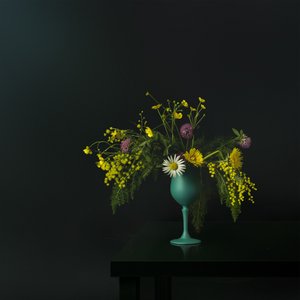 Natureza morta elegante com flores silvestres de Juan Antonio Palacios