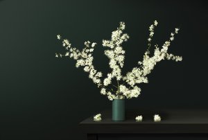 Flores frescas da primavera de Juan Antonio Palacios
