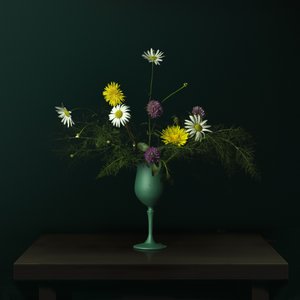 Natureza morta com vaso de flores silvestres de Juan Antonio Palacios