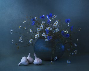  de Judy Tseng