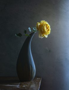  de Judy Tseng