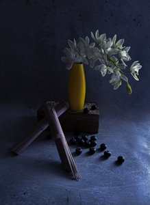 Orquídeas brancas num vaso amarelo de Judy Tseng