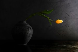  de Judy Tseng