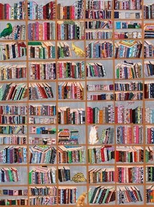 Amigos Fantasiosos da Biblioteca de Jukyong Park