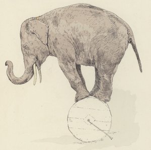 Balanceamento de elefante