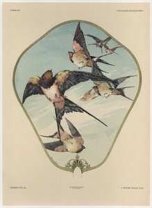 Ventilador, Prato 30 de &39;Fantasias Decorativas&39;, gravado por Gillot, publicado por Jules Rouam, Librairie de l&39;Art, Paris, 1887 (gravura colorida)