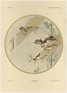 Cegonhas, placa 10 de &39;Fantaisies decoratives&39;, gravada por Gillot, publicada por Jules Rouam, da Librairie de l&39;Art, Paris, 1887 (cor gravura) de Jules Auguste Habert Dys