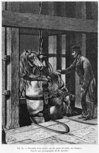 Cavalo sendo guinchado no poço de carvão em Le Creusot, ilustração de "La Vie souterraine" de Louis Simonin (1830-86) 1867