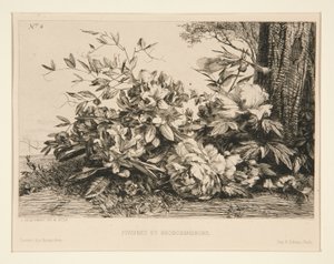Peónias e Rododendros de Jules Ferdinand Jacquemart