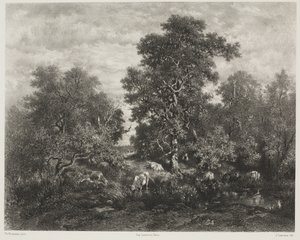A lagoa, segundo Théodore Rousseau (1812-67)
