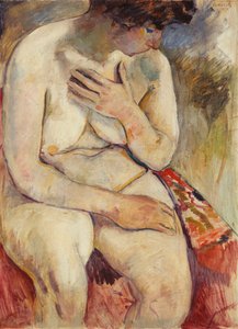 Sessão nua; Nu Assis, 1907
