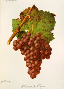 Lembrança do Congresso por J. Troncy de Jules Troncy