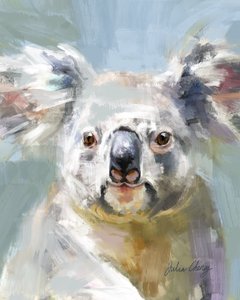O Olhar Suave do Koala de Julia Cheney