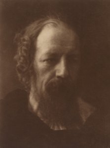 Alfred, Lord Tennyson, 1867, impresso em 1905. de Julia Margaret Cameron