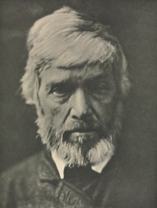 Trabalho de câmera: Carlyle de Julia Margaret Cameron