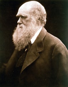 Charles Darwin, naturalista britânico, década de 1870 de Julia Margaret Cameron