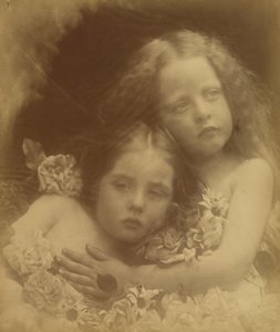 Flores inglesas, 1873. de Julia Margaret Cameron