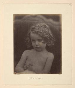 Primeiras ideias de Julia Margaret Cameron