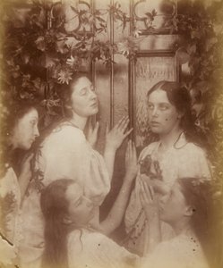 Não ouvimos que o noivo é tão doce, agosto de 1874 de Julia Margaret Cameron
