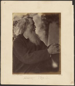 Henry Taylor de Julia Margaret Cameron