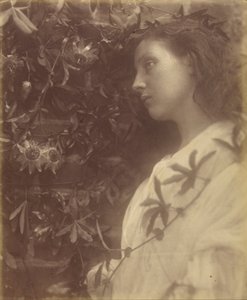 Matilde "Caiu uma lágrima esplêndida da flor de maracujá no portão" de Julia Margaret Cameron