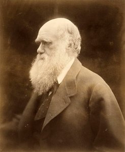 Retrato de Charles Darwin, 1868