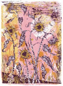 son sine sole iris, 2016 (serigrafia) de julia McKenzie