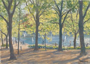Central Park, Nova York, 2010 de Julian Barrow
