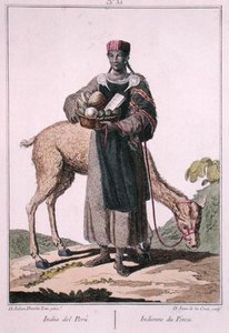 Índio peruano, gravada por Juan de la Cruz (gravura em cores) de Julian Davila