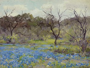 Início da primavera - Bluebonnets e Mesquite