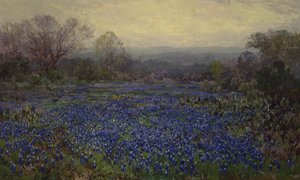 Untitled - Field of Bluebonnets (óleo sobre tela)