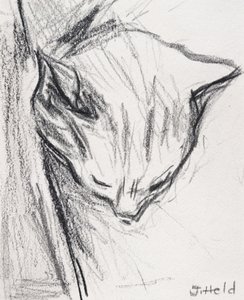Gato dormindo, 2015, (lápis) de Julie Held