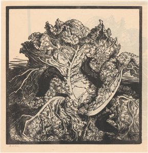 Três lesmas em um repolho de Julie de Graag (signed by artist)