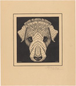 cabeça de cachorro