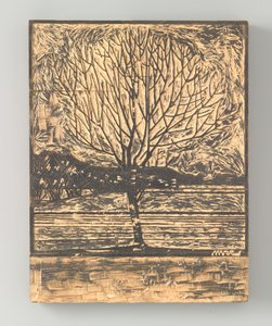 Couve boom de Julie de Graag (signed by artist)