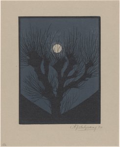 segunda-feira à noite