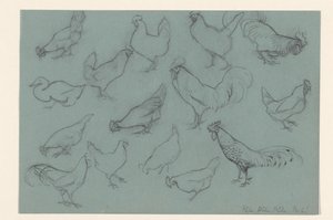 Folha de estudo com aves de capoeira de Julie de Graag