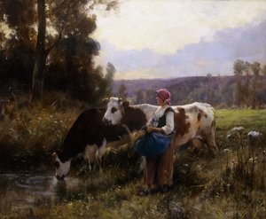 Vacas no bebedouro