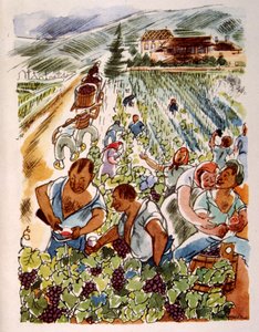 Vinhedo Francês. 1944. Ilustração do Pavilhão Julien
