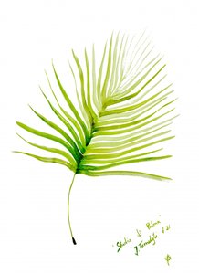 Aquarela de folha de palmeira verde