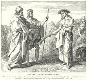 Ruth Gleaning in the Field of Boaz (gravura) de Julius (after) Schnorr von Carolsfeld