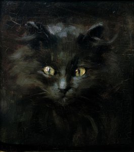 Retrato de um gato de Julius Adam