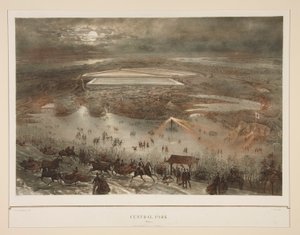 Central Park (Inverno)